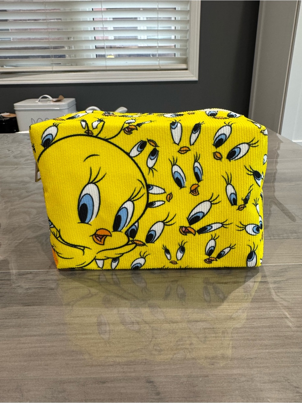 Tweety Bird Makeup Case
